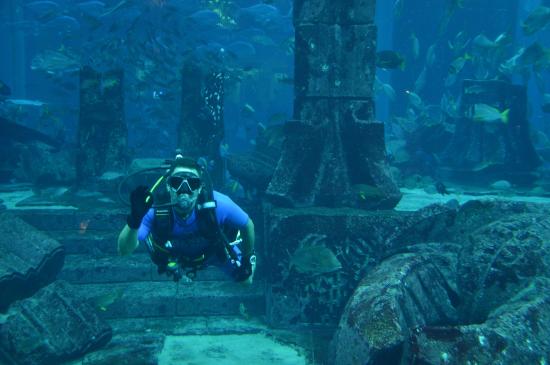 the-lost-chambers-aquarium-dubai - Dubai UAE Travel, Tour Guide